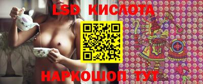 гидра Волгодонск