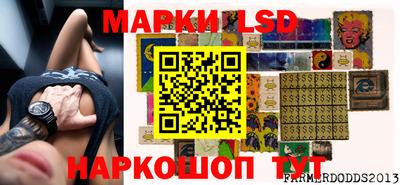 гидропоника Волжск