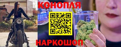 гидра Волгодонск