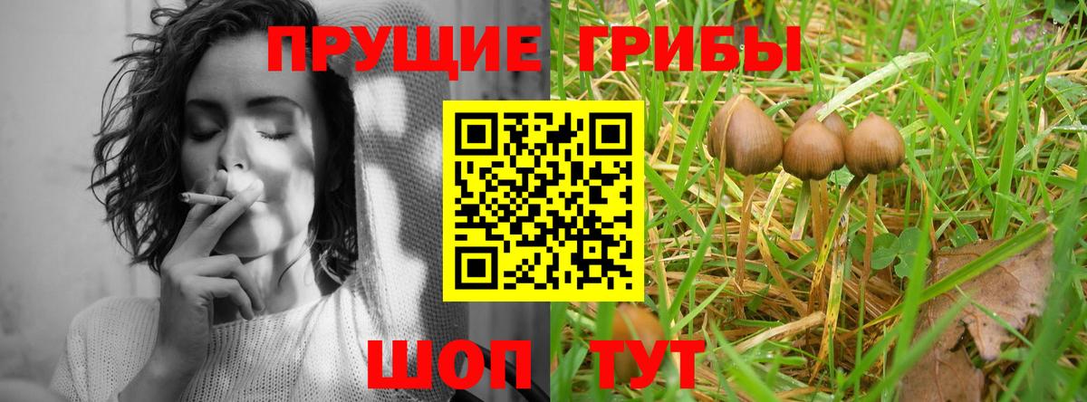 Галлюциногенные грибы Psilocybe  Вход с VPN  Михайловск  Галлюциногенные грибы Magic Shrooms 