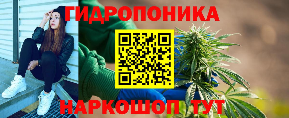 Марихуана план  Бошки Шишки марихуана  Вход с VPN  Михайловск 
